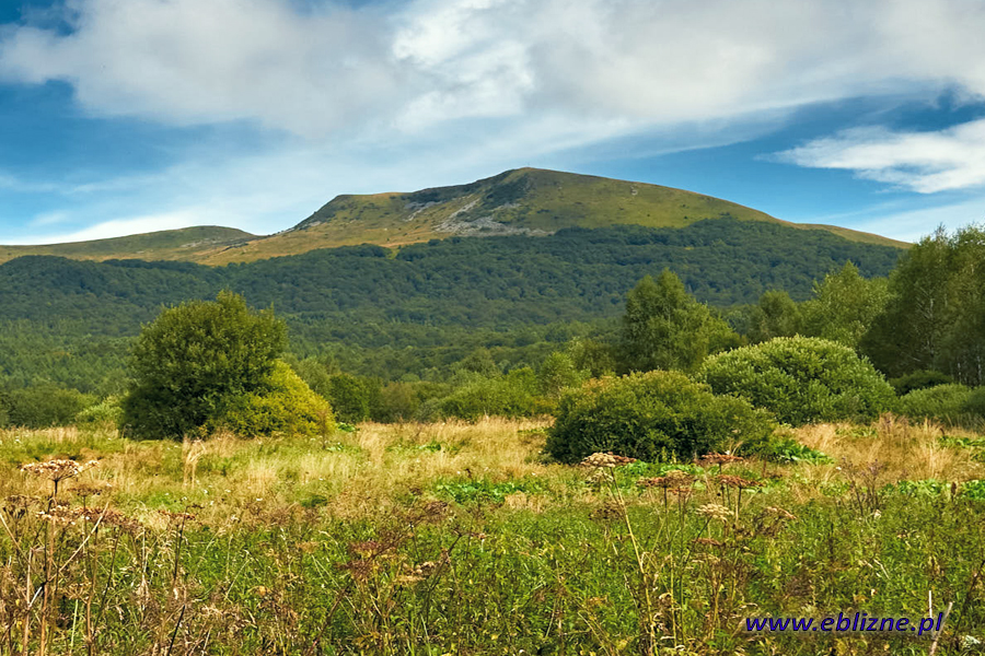 Tarnica 01 600x900