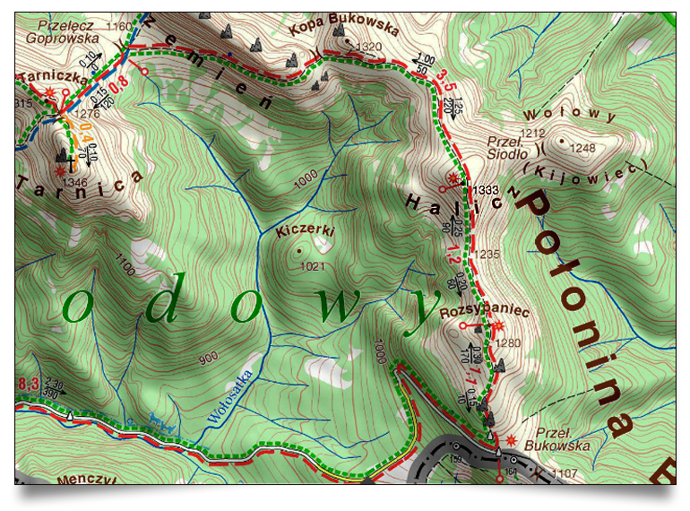 mapa Halicz